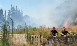 Aydın'da ot yangınında alevler zeytinliğe sıçradı