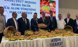 Aydın’da incir sezonu başladı: İlk ürün 850 TL