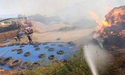 Aydın'da tarım arazisinde yangın: Kontrol altına alındı!