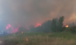 Çanakkale’de otlukta çıkan yangın ormana sıçradı: Müdahale sürüyor!