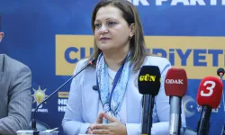 Burcu Köksal: "Cumhurbaşkanımızı bir daha seçtirmek için gece gündüz çalışmalıyız"