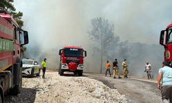 Alanya'da orman yangını