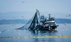 İzmirli balıkçılardan palamut bereketi beklentisi