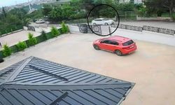 Köpeğini ezip yoluna devam etti: 10 yaşındaki çocuk bayıldı