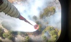 Muğla'da orman yangını: Ekipler müdahale ediyor
