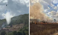 Bursa'nın iki ilçesinde orman yangını
