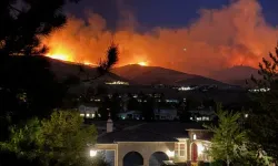 Nevada’da orman yangını: 90 bin kişi için tahliye çağrısı