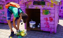 Çocuklar boyadı, bir can dost yeni yuvasına kavuştu!