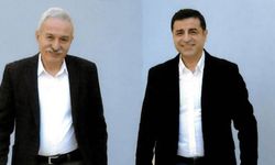 Demirtaş ve Mızraklı'dan ortak 'çerçeve yasa' açıklaması