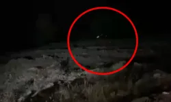 Hafif ticari araç uçuruma yuvarlandı: 4 ölü, 5 yaralı!