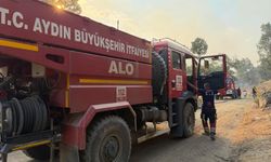 Aydın Büyükşehir Belediyesi Kuyucak'ta yangına müdahele ediyor