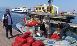 Yasa dışı yollarla avlanılan 560 kilo kara midyeye el konuldu!
