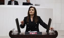 CHP'li Kılıç, CİMER başvuruları üzerinden iktidara yüklendi!