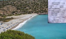 Ömür ŞANLI yazdı... Bir fişle ne Sakız Adası’nı ne de Türkiye’yi anlatabilirsiniz