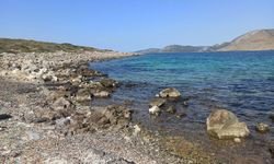 Orkinos ölümlerinin perde arkası: Çeşme'deki üç körfez foseptiğe döndü!