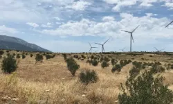 Karaburun Kent Konseyi: GES projeleri yaşam alanlarımızı tehdit ediyor