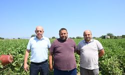 Manisa Büyükşehir Belediyesi afetzede çiftçinin yüzünü güldürdü