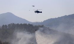 Üç ildeki orman yangınları kontrol altına alındı
