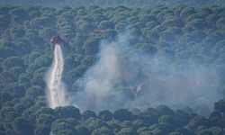 Gömeç ve Aydıncık-Gülnar orman yangınları kontrol altına alındı