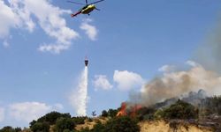 Manisa'daki orman yangını kontrol altında!