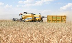 Çiftçilerin hesaplarına 110,5 milyon lira aktarılıyor!