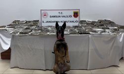 Bir tırda 132 kilogram uyuşturucu ele geçirildi