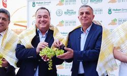 Üzümün Başkentinde Bağbozumu Şenliği Başlıyor
