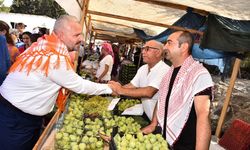 Menemen'de incir festivali heyecanı