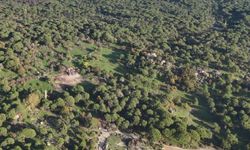 Mahkeme iptal etti, bakanlık yeniden onaylandı… Kozak’a yeni hançer!