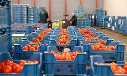 Yaş sebze meyvede 128 ülke detayı... Ege ihracatı para bastı!