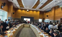 YENİ Partili vekil: Çerçeve yasaya "hayır" oyu vereceğim