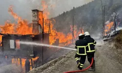 Kastamonu'da köy yangını... Alevler 7 eve sıçradı!
