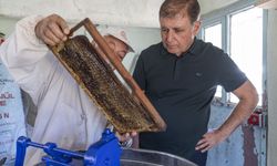 Üreticiyle bal sağdı, çocuklarla top oynadı, halkın derdini dinledi