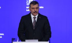Çiftçi: "Kırmızı bültenle aranan 22 kişiye operasyon düzenlendi"
