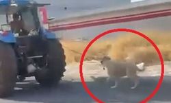 Dehşet anlar: Köpeği traktöre iple bağlayıp koşturdu!