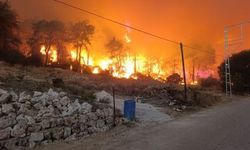 Adana ve Antalya'dan alevler yükseldi!