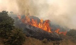 Manisa’da aynı gün ikinci orman yangını kontrol altında!