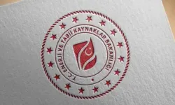 10 yılda güneş ve rüzgardan 442,2 teravatsaat elektrik üretildi