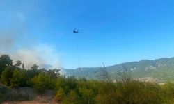 Ormanlık alanda çıkan yangına havadan ve karadan müdahale ediliyor