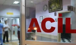 10 yaşındaki çocuk burun kanamasıyla hastaneye başvurdu: Boğazında canlı sülük bulundu