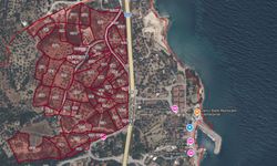 Karaburun’da zeytinlikleri imara açan plana itiraz!