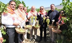 Menemen'de "Bağ bozumu Şenliği" düzenlendi