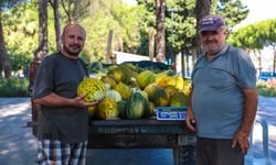 Hacıömerli’de Salı Pazarı bereketi