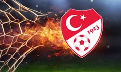 Vlahovic, Aziz Yıldırım ve Kerem Aktürkoğlu PFDK'da!
