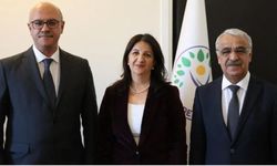 Yasa sonrası ilk ziyaret: DEM Parti heyeti İmralı'ya gidiyor