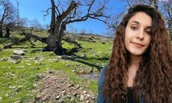 Gülistan Doku soruşturmasında 6. dalga operasyon