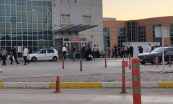 Hayvan otlatma kavgasında kan aktı!