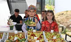 Manisa'da "Hünnap Festivali" düzenlendi