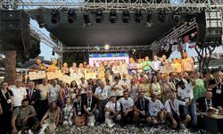 Menemen'de festivale görkemli final!