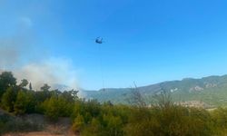 Antalya'da orman yangını: Havadan ve karadan müdahale ediliyor